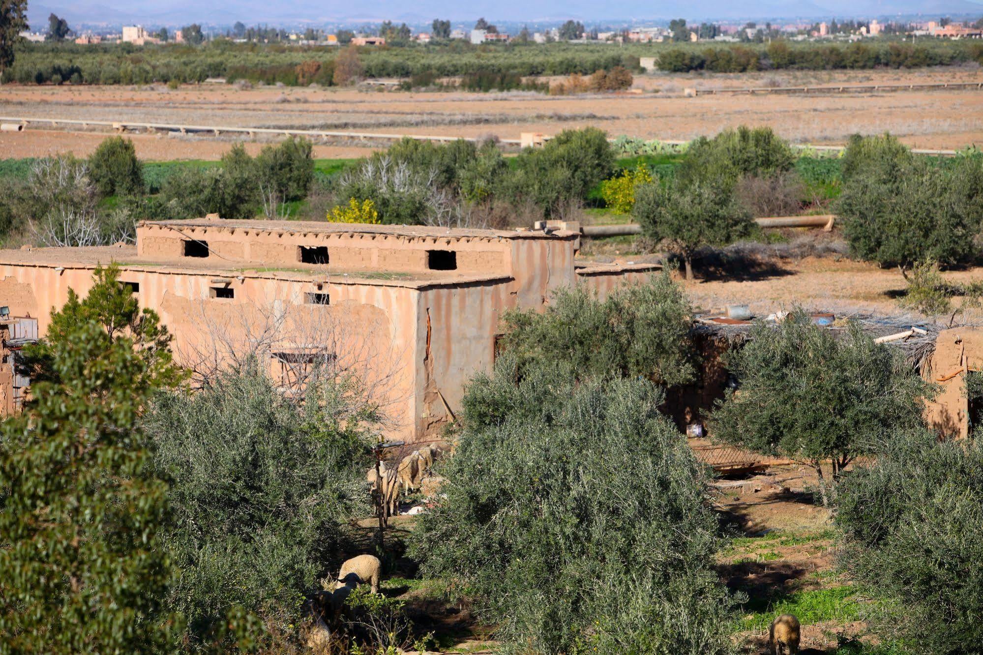 Riad Couleur Sable Sidi Abdallah Ghiat Exterior foto